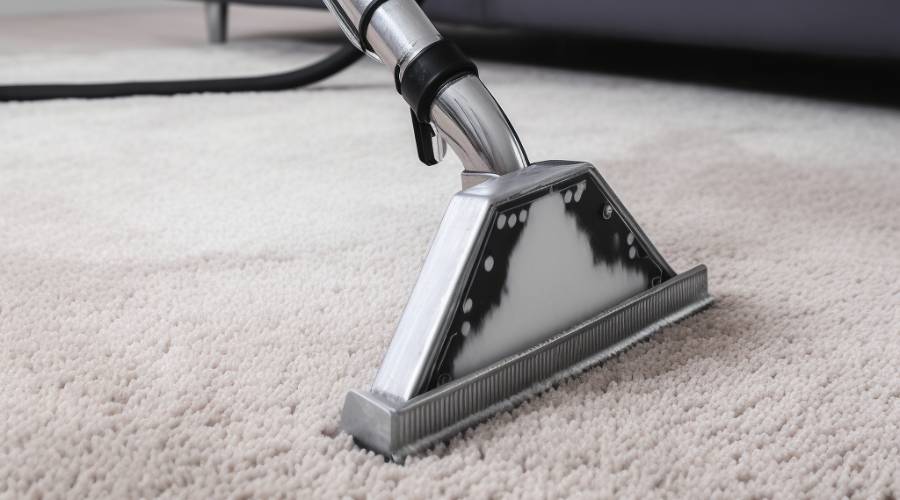 Carpet Cleaning Services in Perth